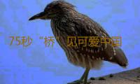 75秒“桥”见可爱中国 